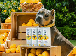 Lucky One Lemonade Can