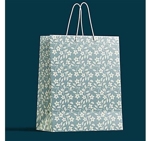 Gift Bag midium