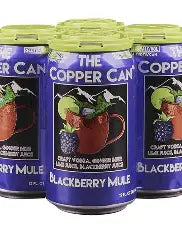 Kiss the Sky 4pk Can Blackberry/Ginger Root/Vod