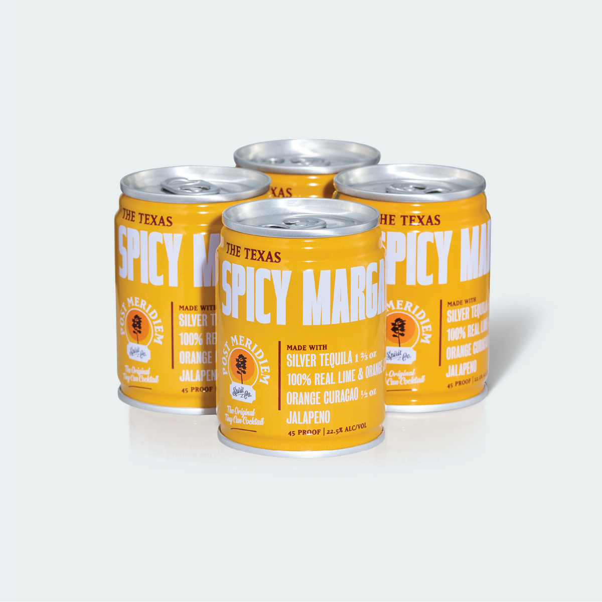 Post Meridiem Spicy Margarita 100ml can