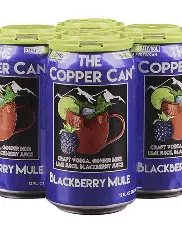 Kiss the Sky 4pk Can Blackberry/Ginger Root/Vod